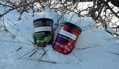 Conservas y Mermeladas La Pauleña