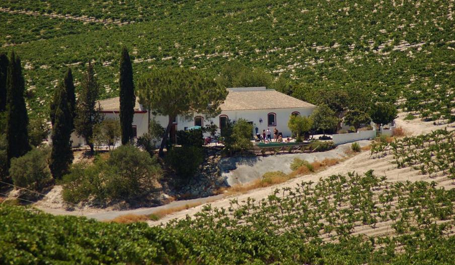 Bodega Viña Santa Petronila