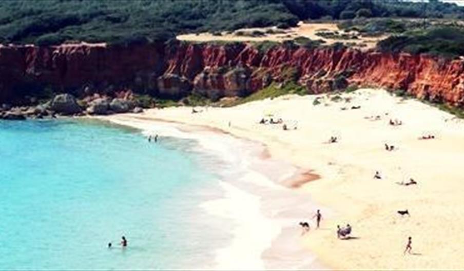 Apartamentos El Palmeral