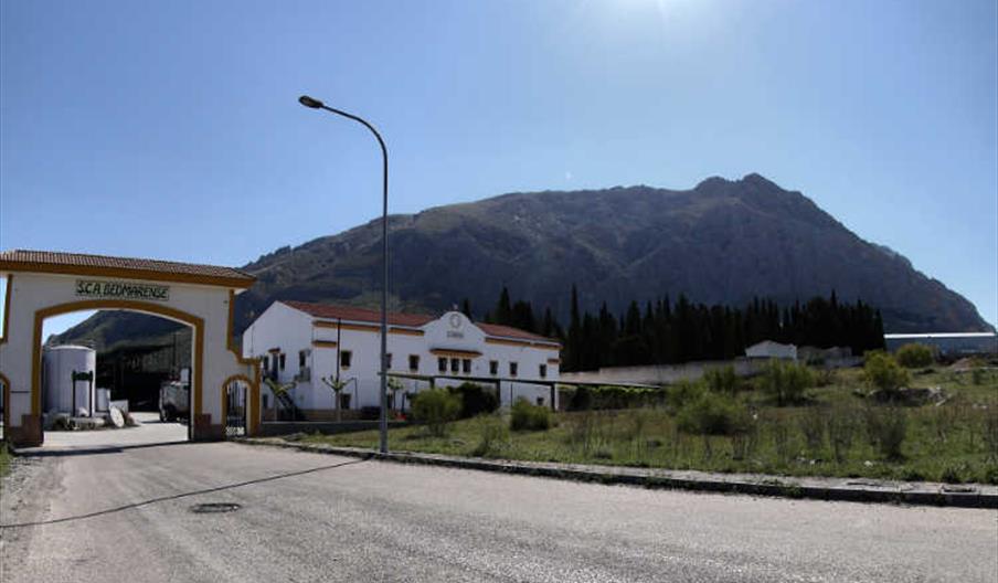 Cooperativa Bedmarense Magna Sur