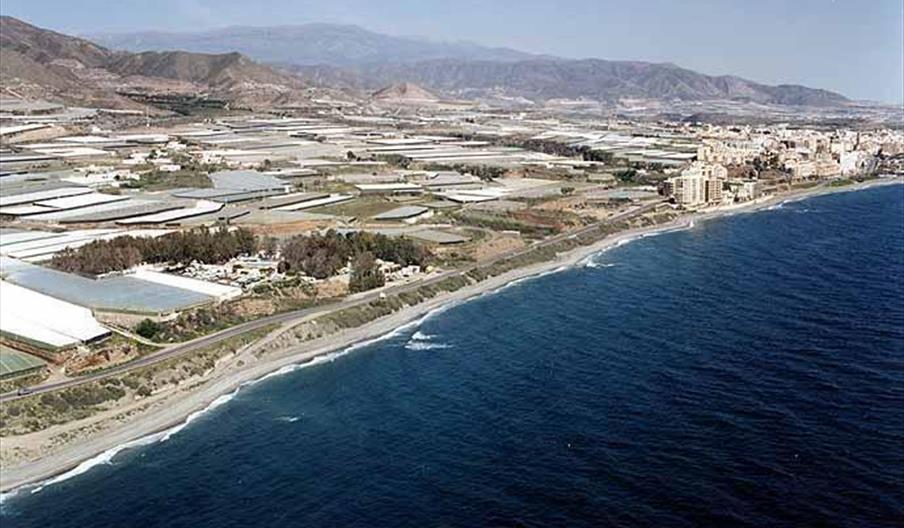 La Gaviota / Fuente Ahijado