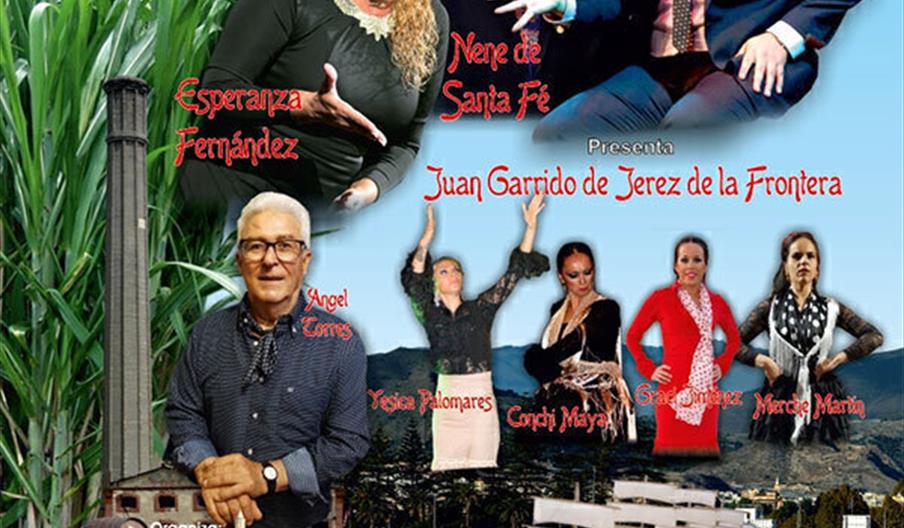 Festival Flamenco de la Costa Tropical