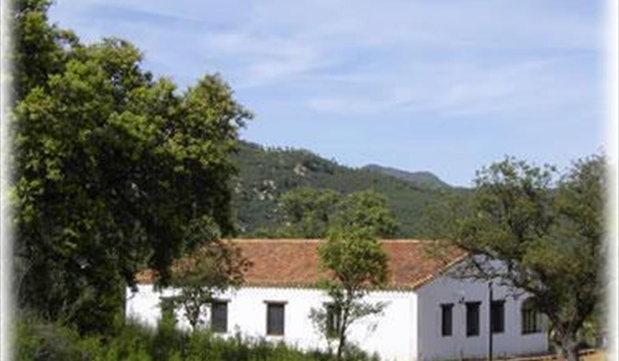 Casa del Olivo