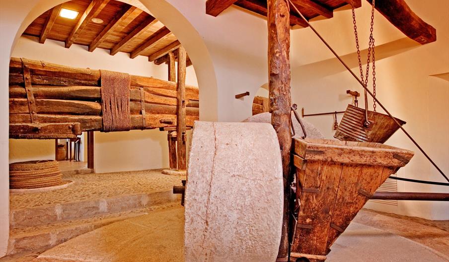 Museo del Aceite Dcoop