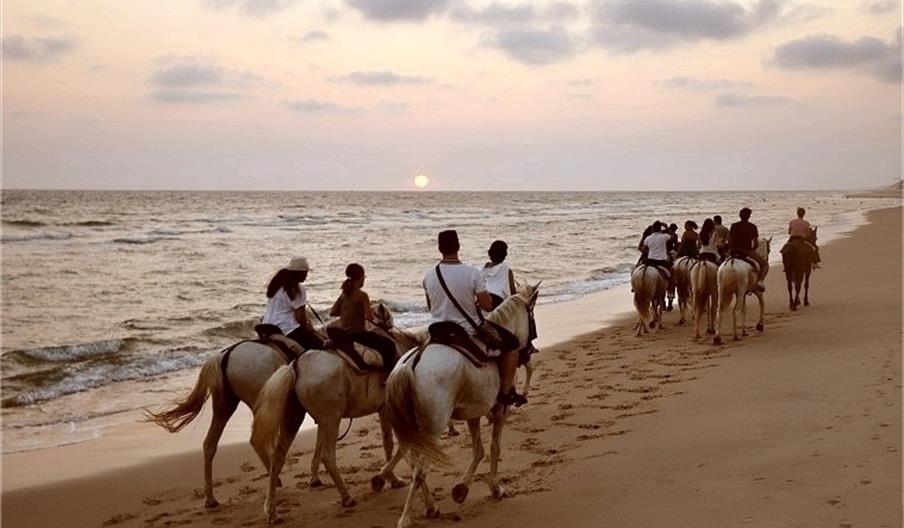 Club Hípico El Pasodoble