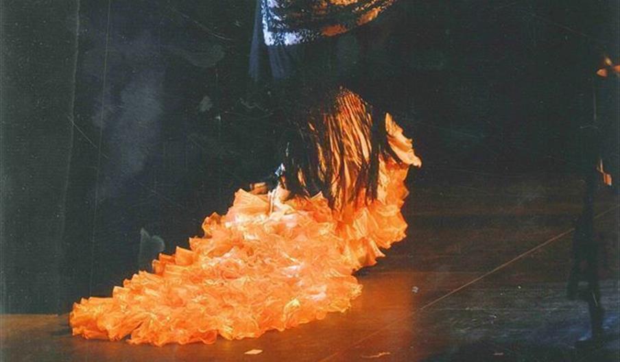 Academia de Flamenco Mª del Mar Berlanga