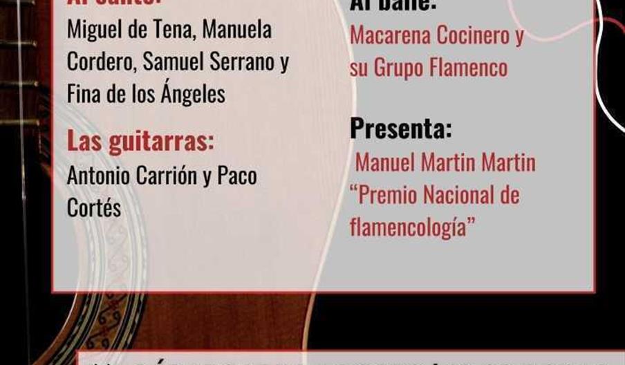 Noche Flamenca de Martos