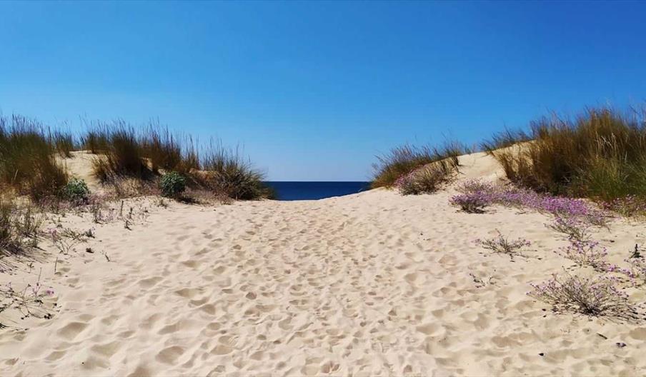Playa La Chancla o El Membrillo