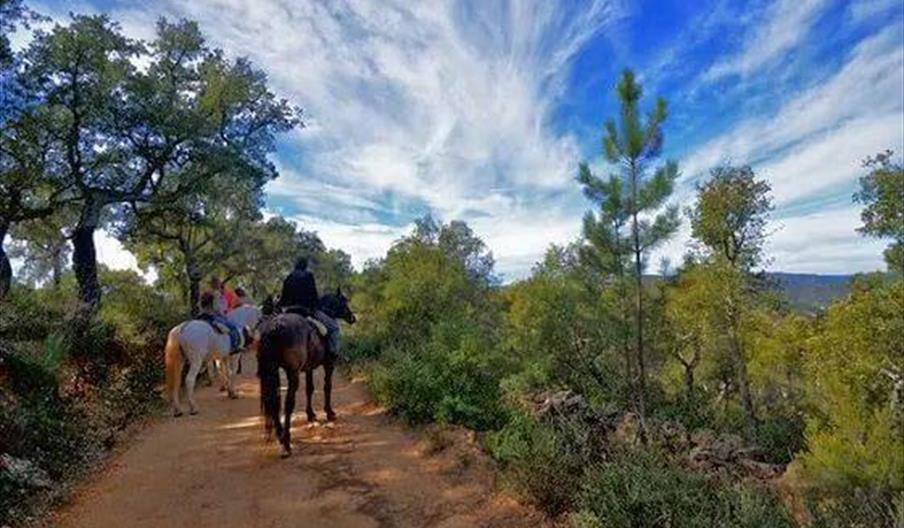 Picadero Finca La Suerte