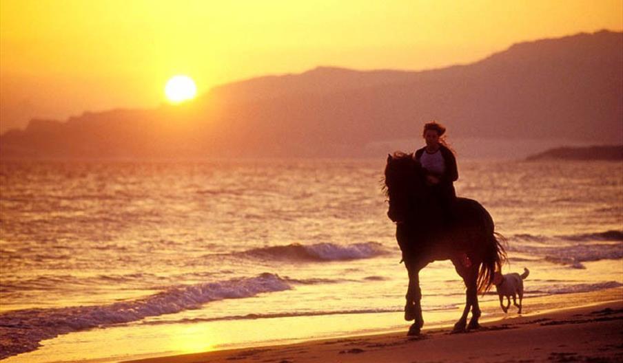 Aventura Ecuestre Tarifa