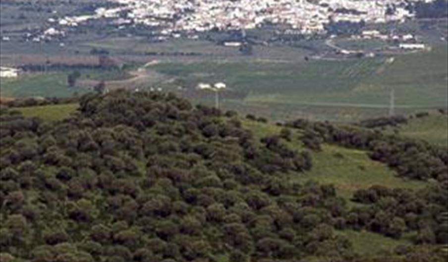 Benalup-Casas Viejas