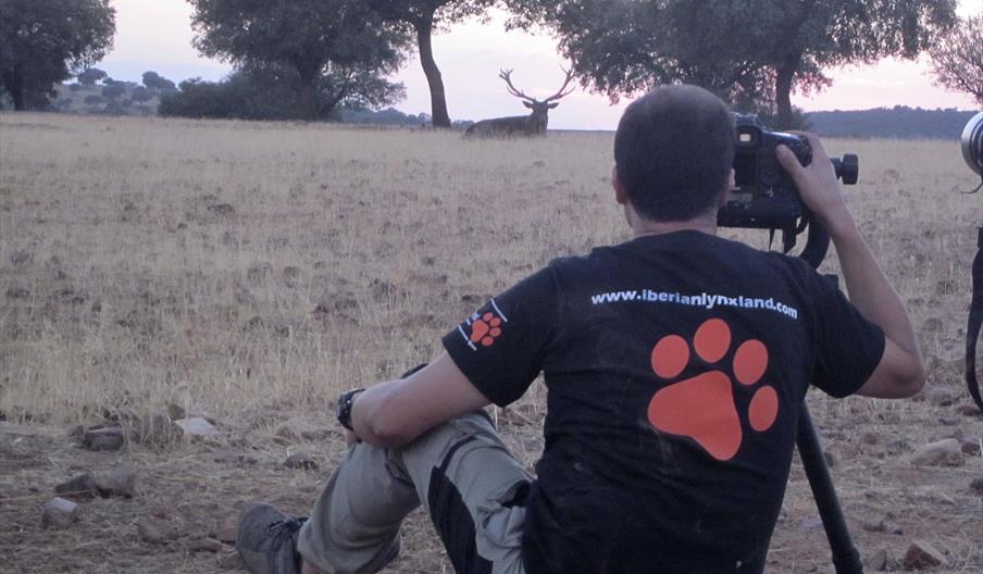 Iberian Lynx Land