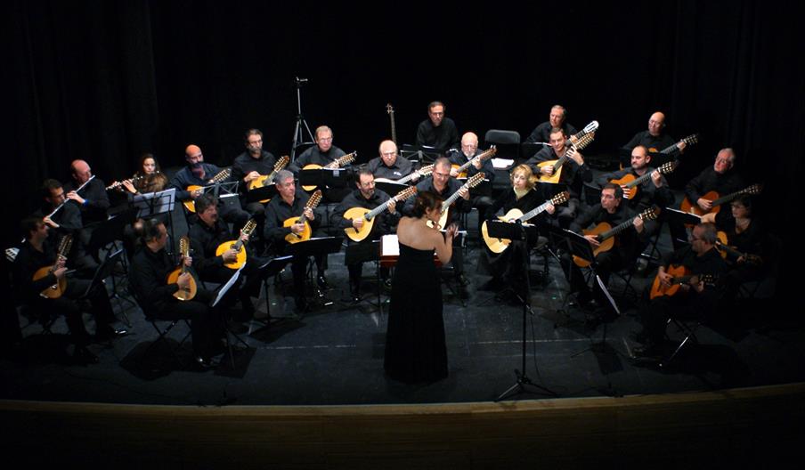 VII Festival Plectro