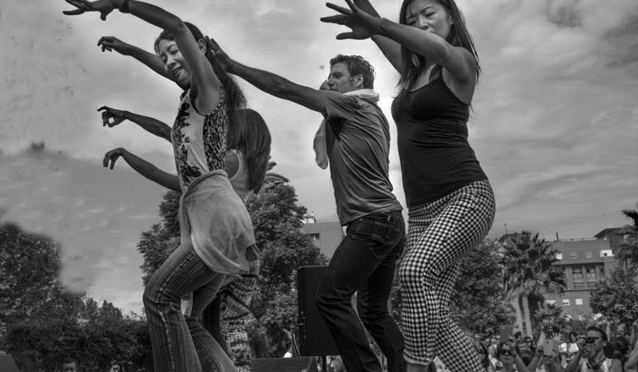 Escuela Flamenca Juan Polvillo