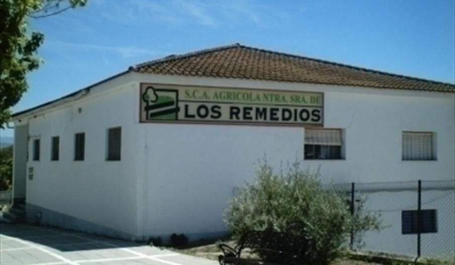 Ntra. Sra. de los Remedios Picasat