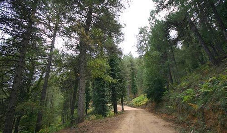 Camping Garrote Gordo