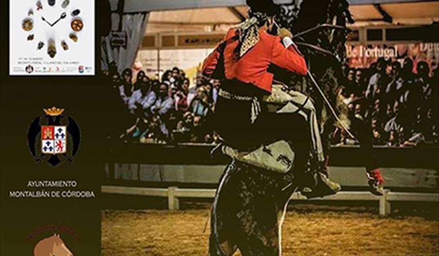 Espectáculo ecuestre en Montalbán