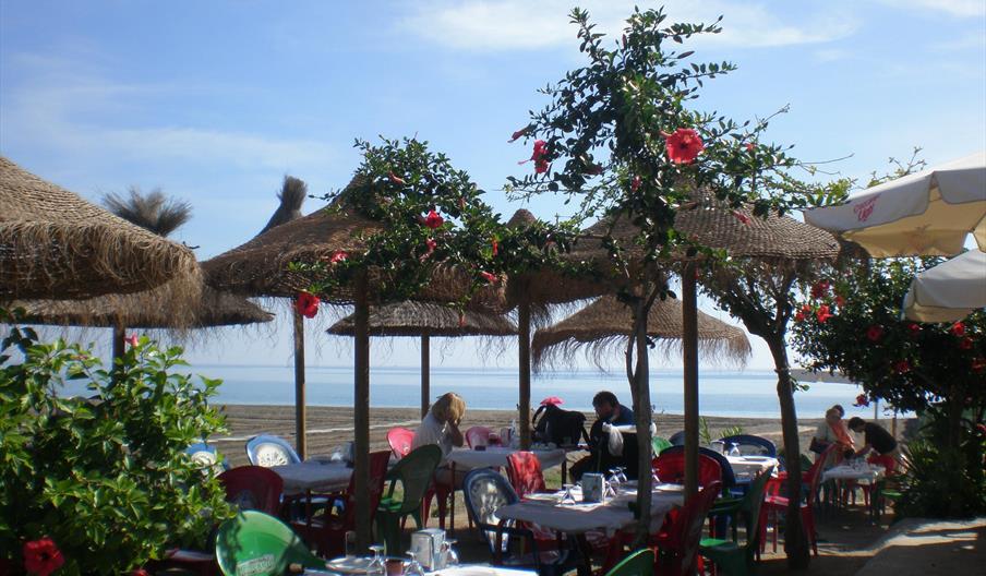 Chiringuito El Pollo