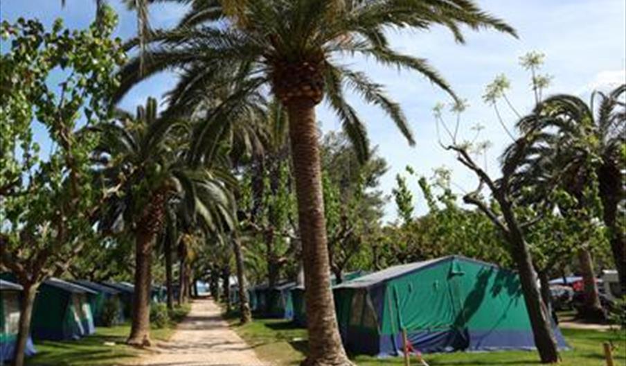 Camping Sierra Brava