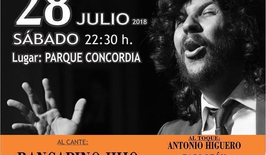 Festival Flamenco del Melocotón