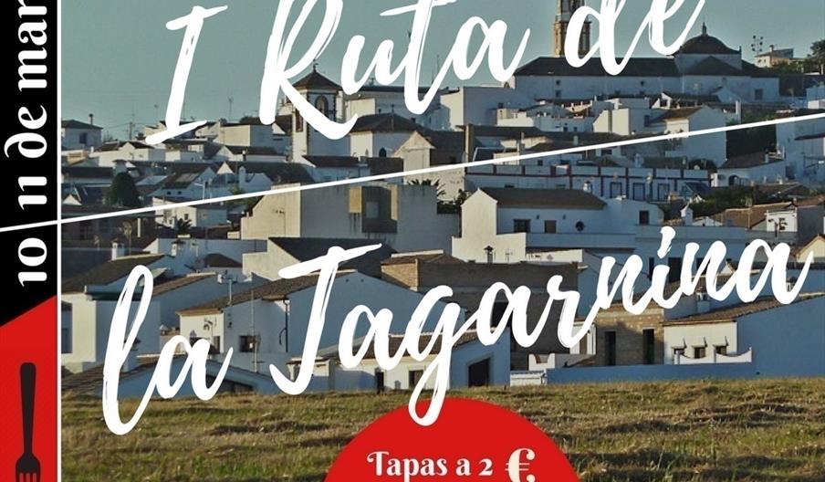 Ruta de la Tagarnina en Montellano