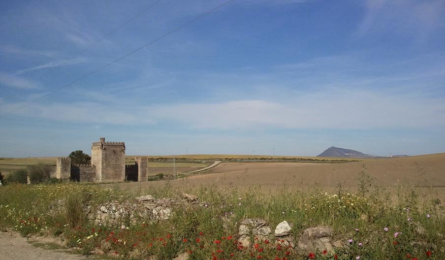 Castillo de las Aguzaderas