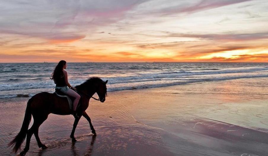 Rutas Ecuestres Mazagón