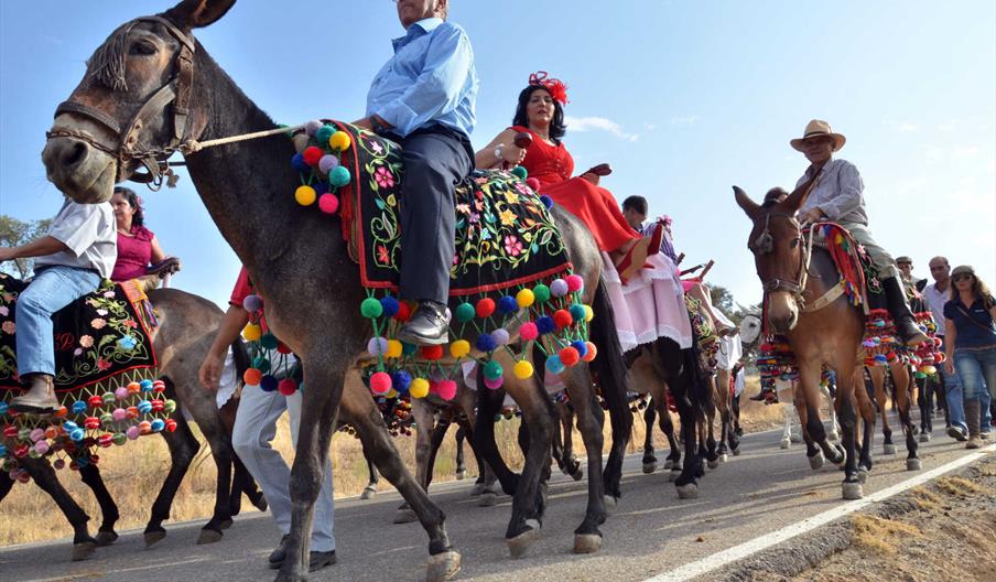 Fiesta de los Piostros de Pedroche