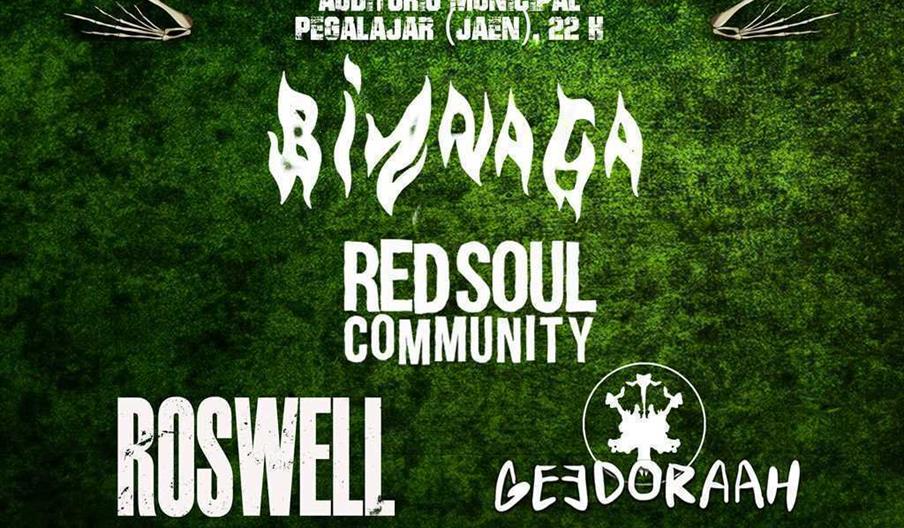 Festival Charca Rock