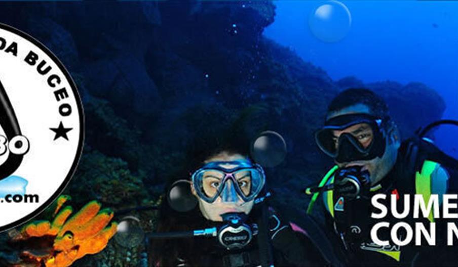 Centro de Buceo Petubo