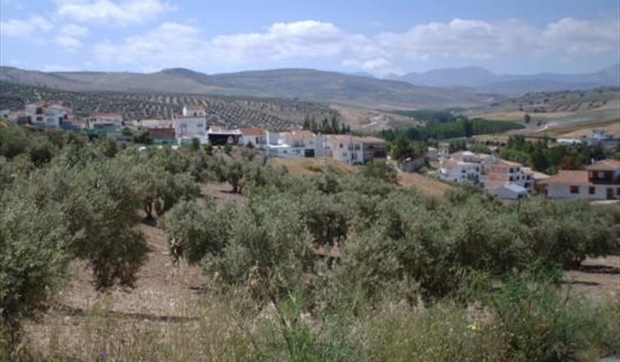 Santa Cruz del Comercio