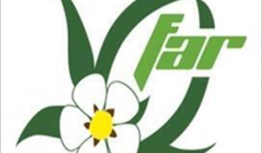 Federación Andaluza de Rugby