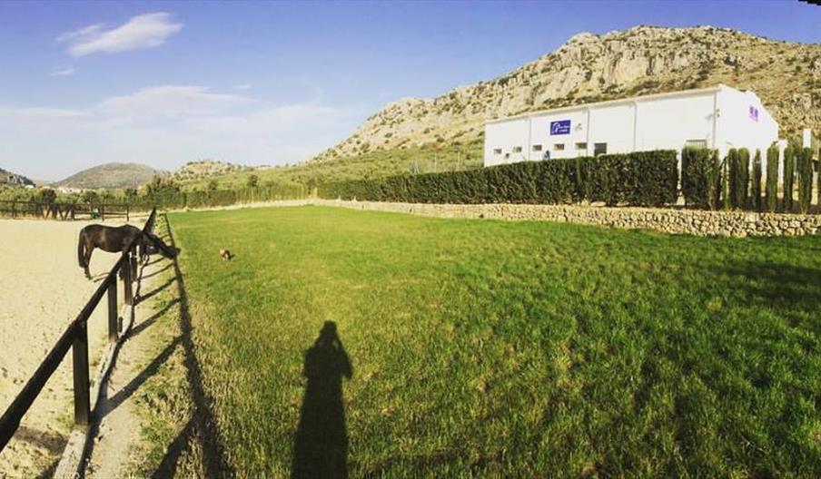 Centro Hípico El Saltillo