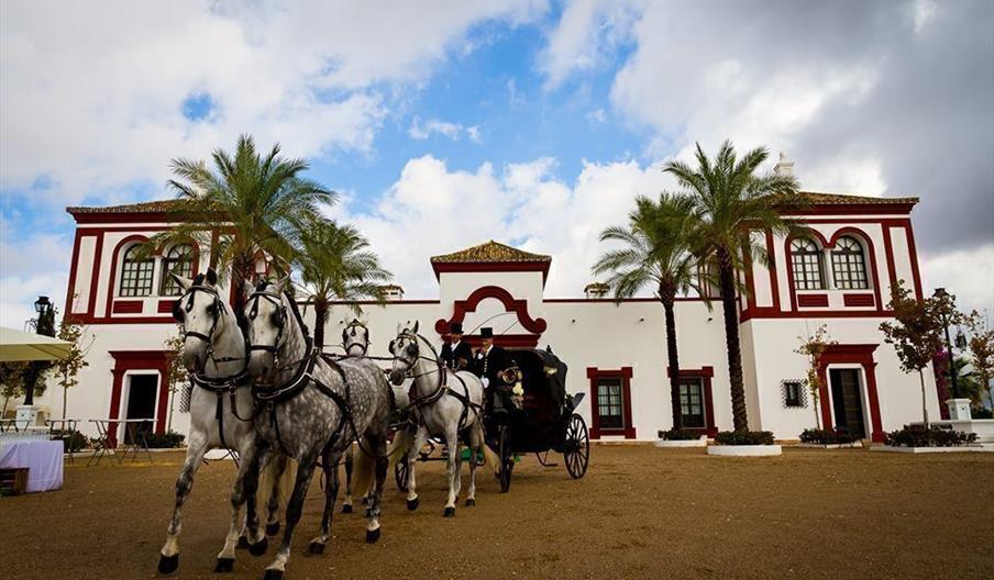 Centro Hípico Silva