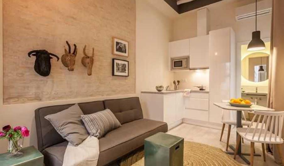 Apartamentos Tomás de Ibarra