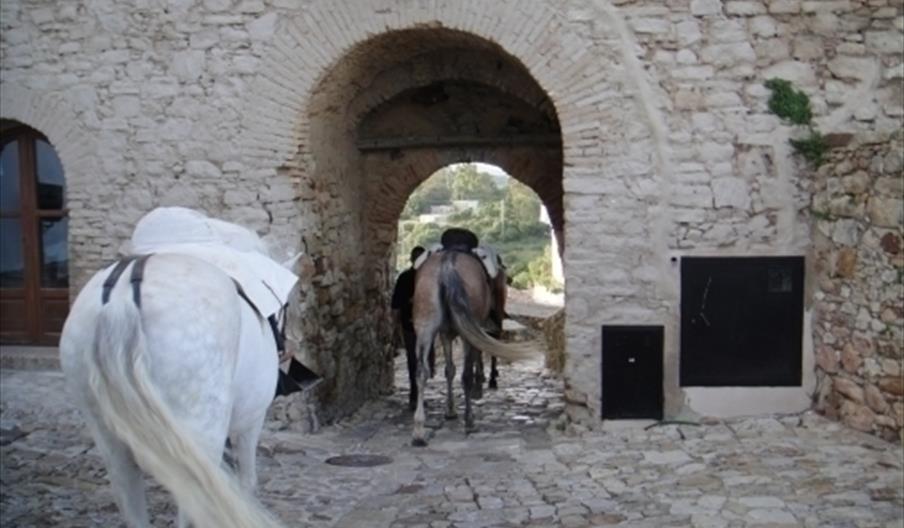 Castellar Gestión del Patrimonio