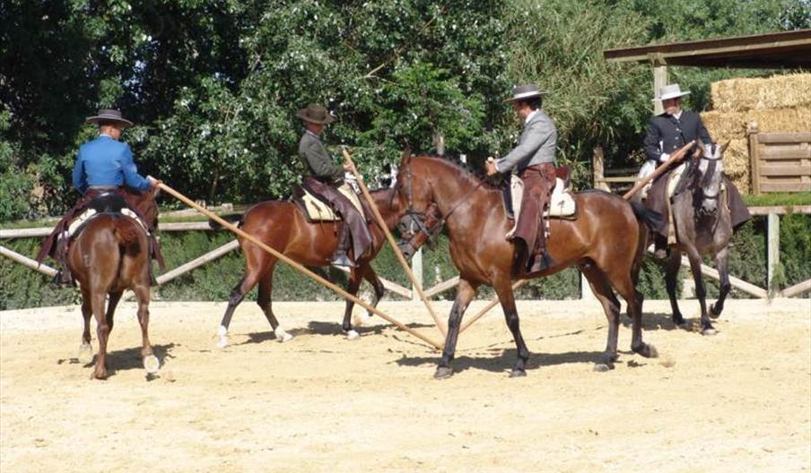 Centro Ecuestre Los Quintos