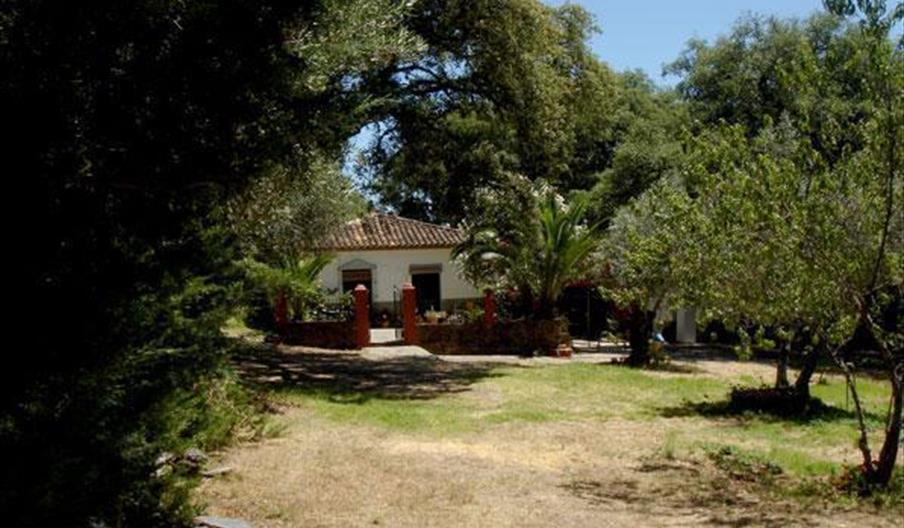 Vivienda Rural Finca Navareonda