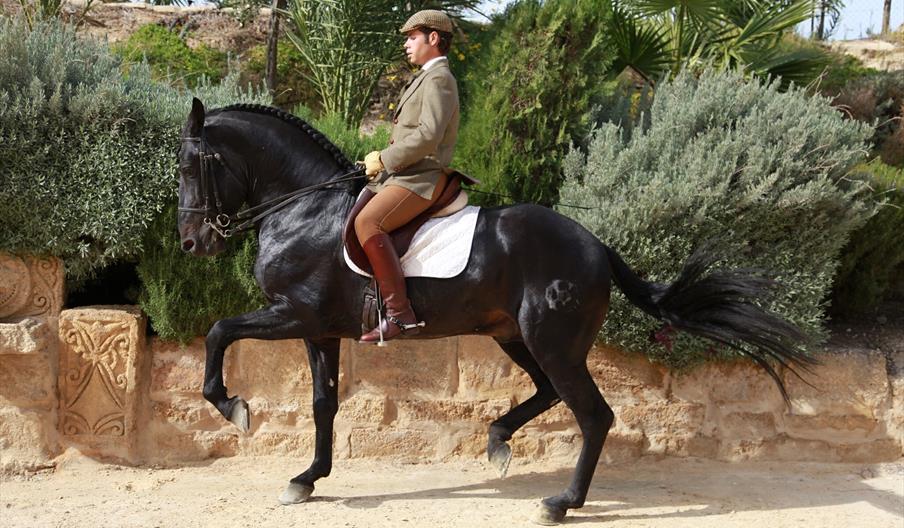 Escuela de Equitación Antonio Angulo