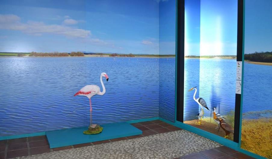 Centro de Interpretación de las Lagunas de Campillos