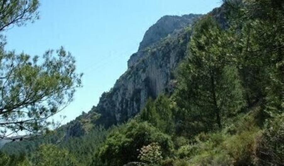 Falla de la Sierra del Camorro