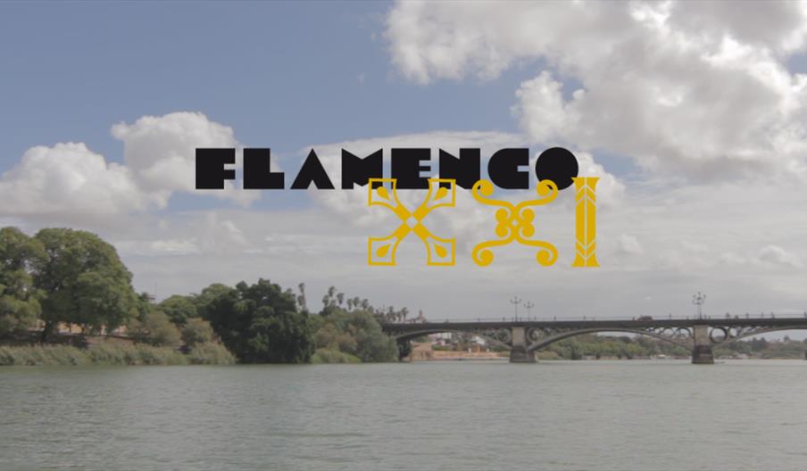 Flamenco XXI