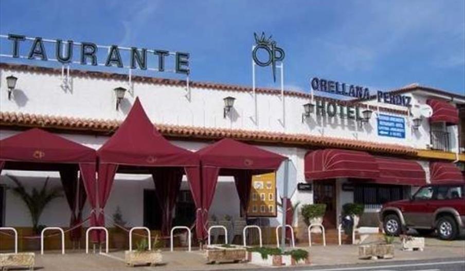 Orellana Perdiz Castillo