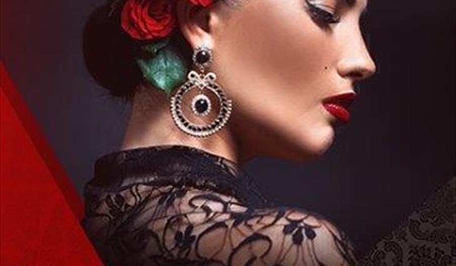 Roquetas en Clave de Flamenco