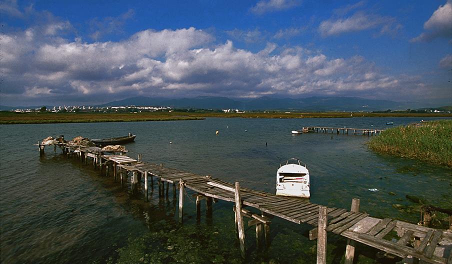 Marismas del río Palmones