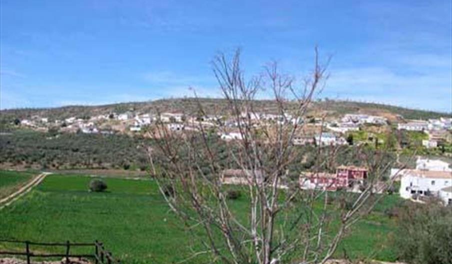 Pozo Alcón