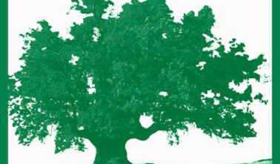 Al Andalus Photo Tour