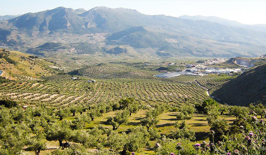 Centro de Interpretación del Aceite de Sierra Mágina
