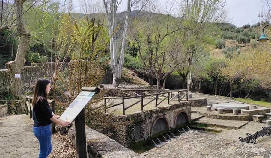 Nacimiento Río Frío