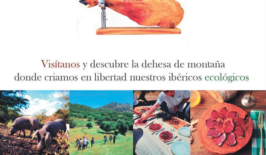 información y contacto